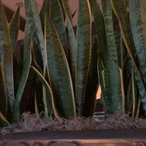 Meet your Posher, Della